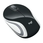 61z Jwvbful. Sl1500 .jpg