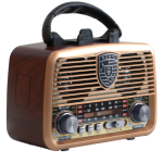 GOLON RADIO+BLUETOOTH SPEAKER ICF-F25