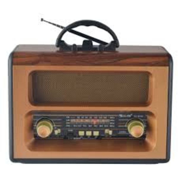 RADIO+BLUETOOTH SPEAKER RX-BT88